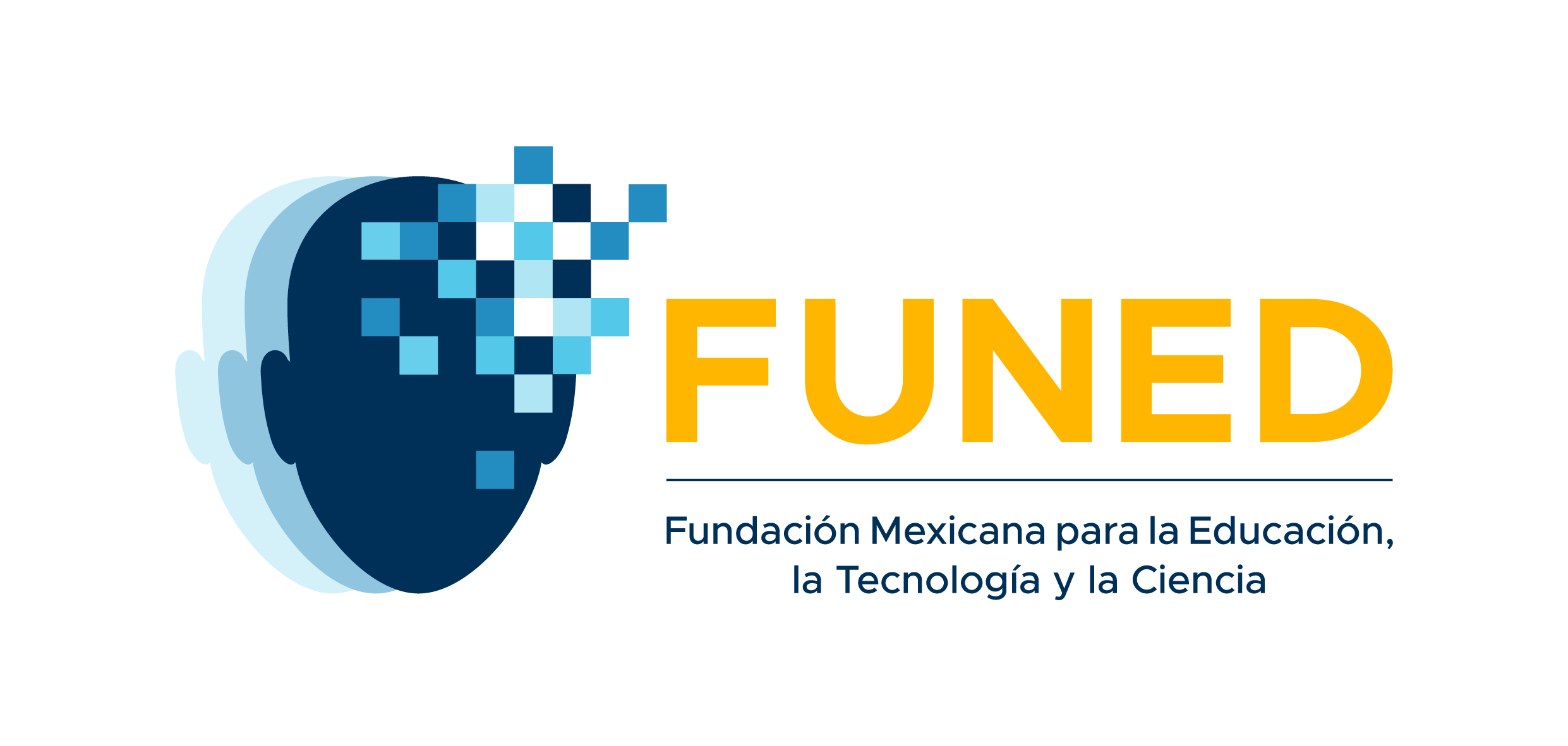 Funed Brasil | Talk Global Study